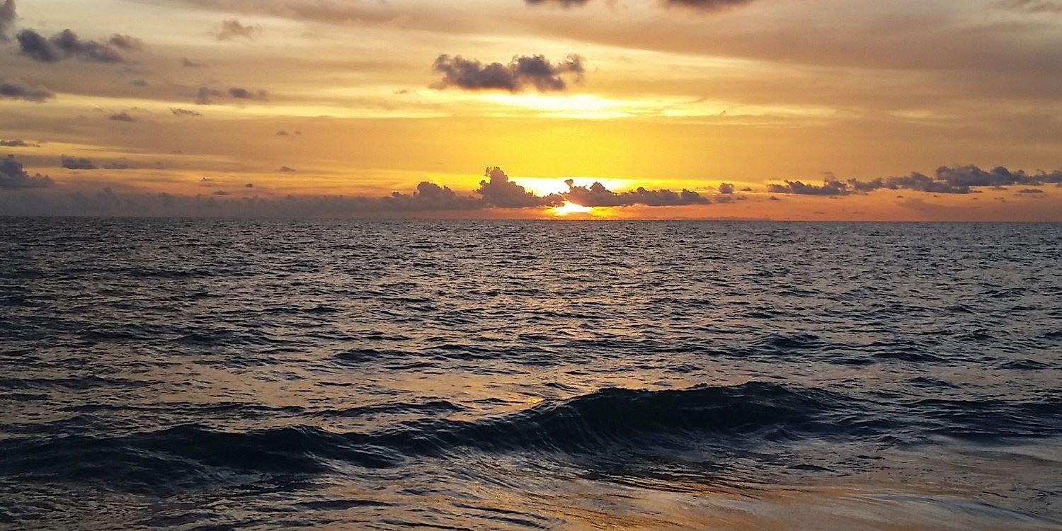 damaseau's profile banner image
