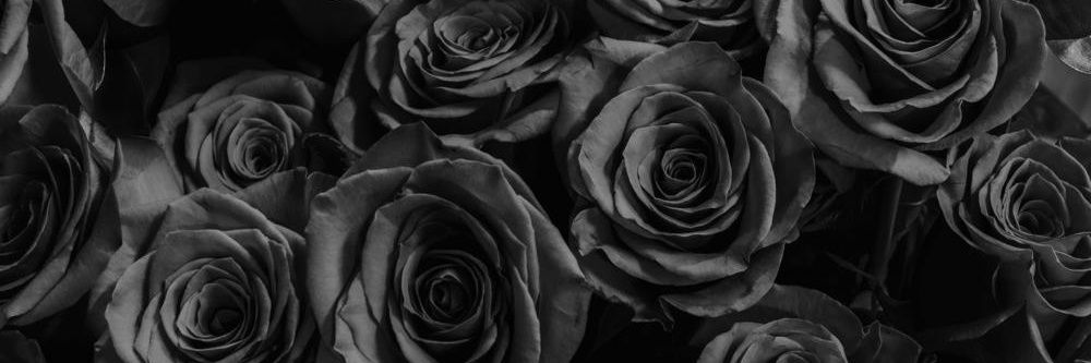 Moniy_Kb's profile banner image
