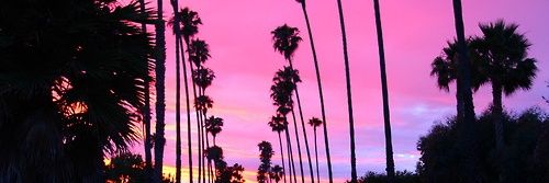 _aud_aud's profile banner image