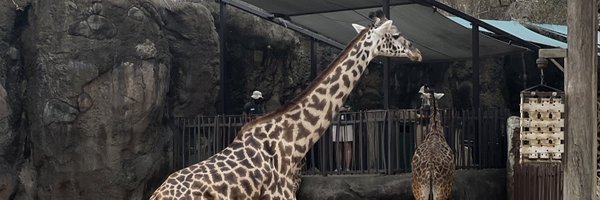 Solie__15 Profile Banner