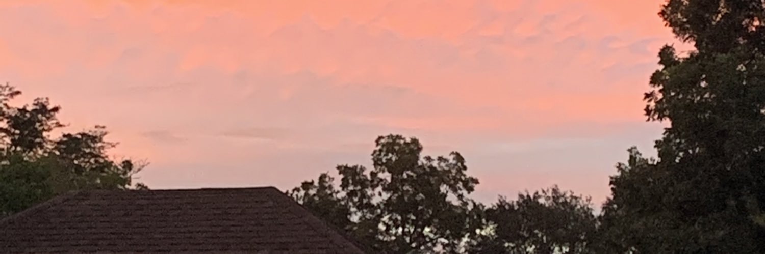 JosephJCabral's profile banner image