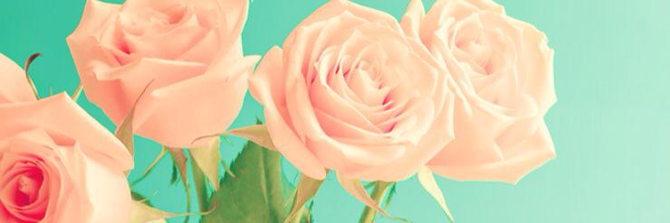 apiyaah's profile banner image
