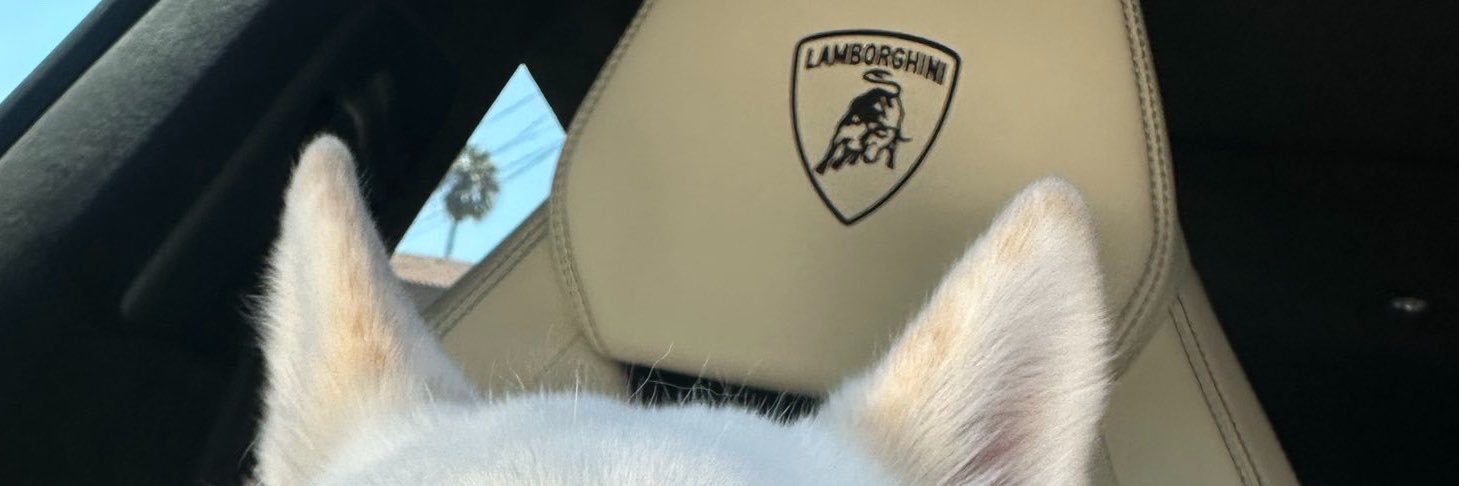 anthonybrukss's profile banner image