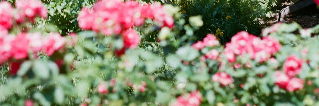 ossfestosbourne's profile banner image