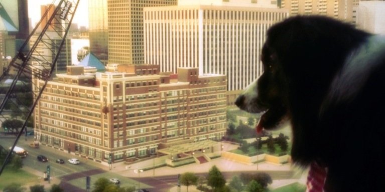 baileyaussie's profile banner image