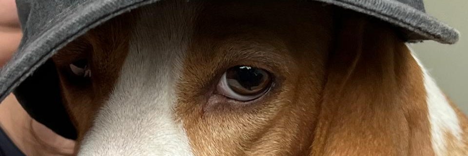 vinikra's profile banner image