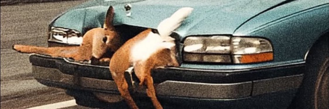 pissedoffcherry's profile banner image