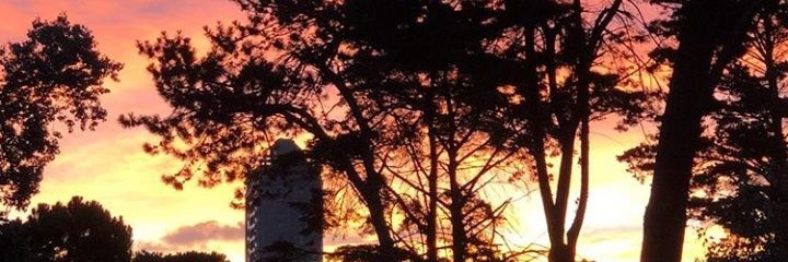 vanidiaaz's profile banner image