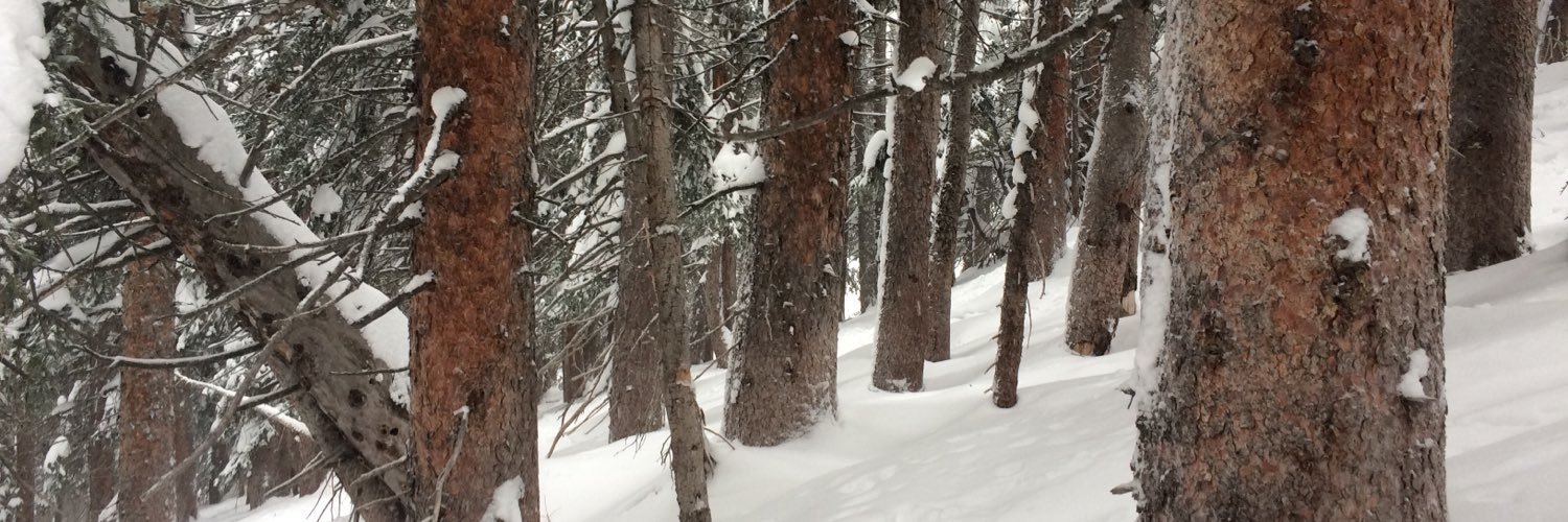CommonRN's profile banner image