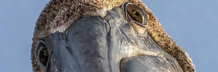 lagoon31's profile banner image