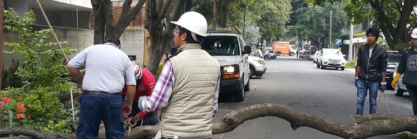 Alejandro Partida banner