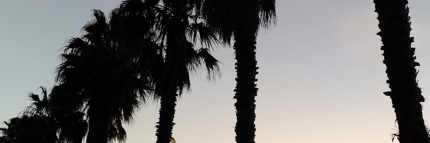 bernardof11's profile banner image