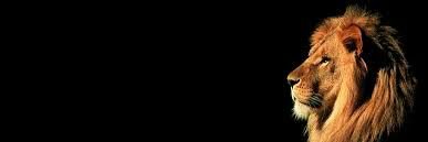 _LightOfTheWest's profile banner image