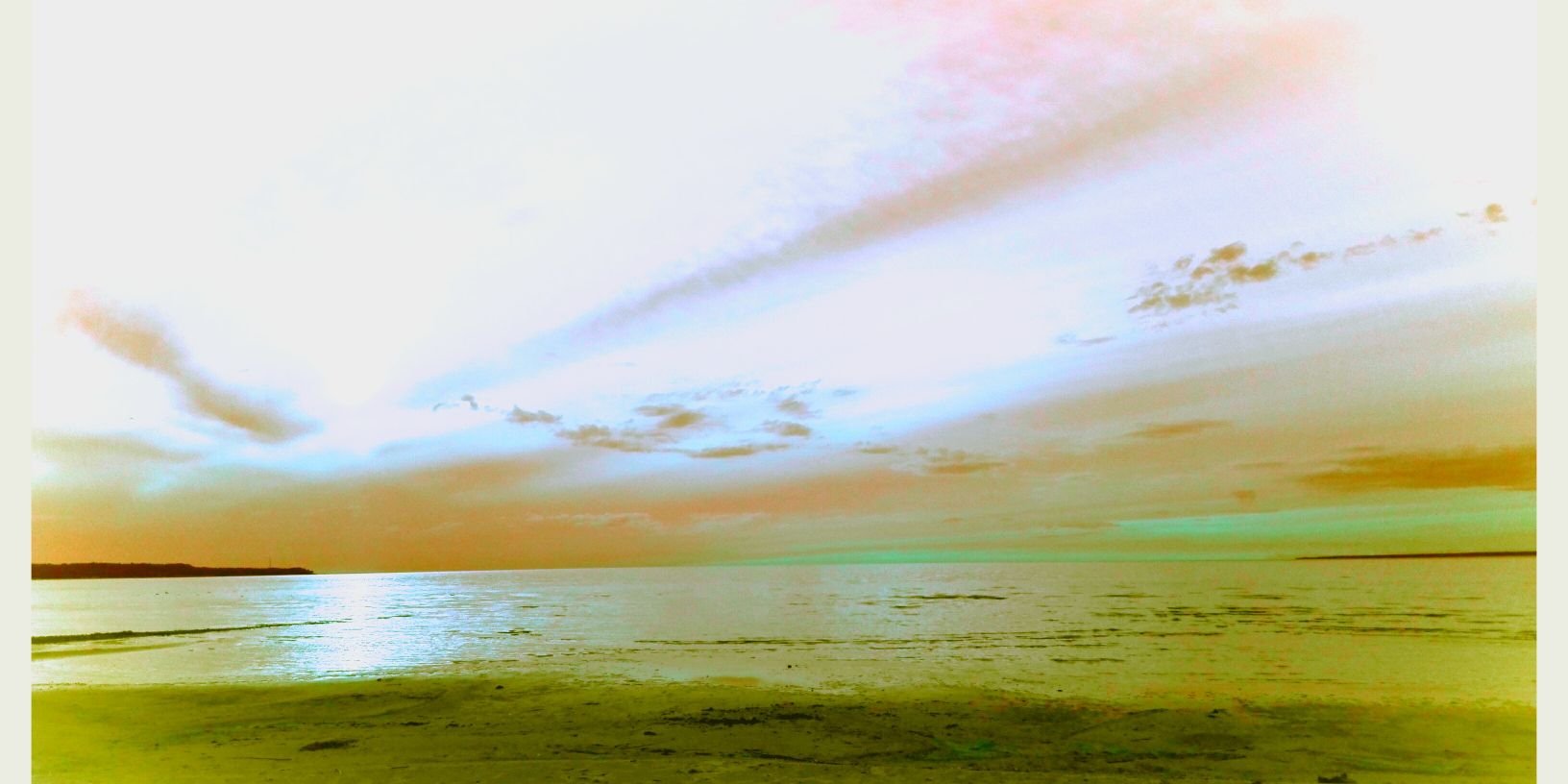 TRanname's profile banner image