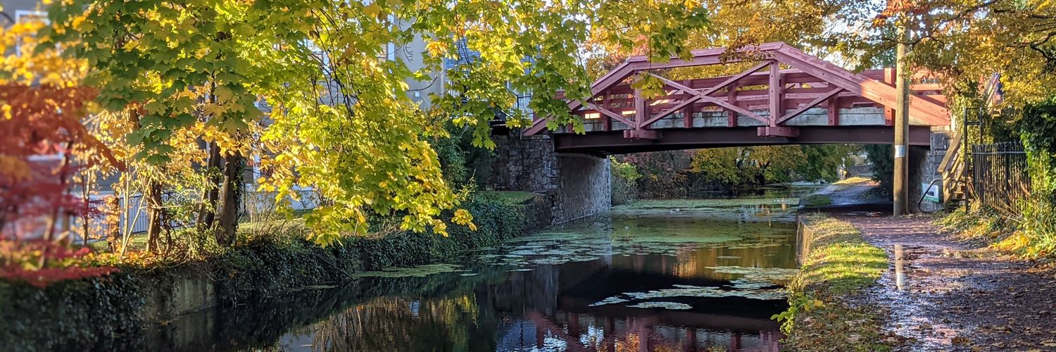 Lisa Simpson Ⓥ banner