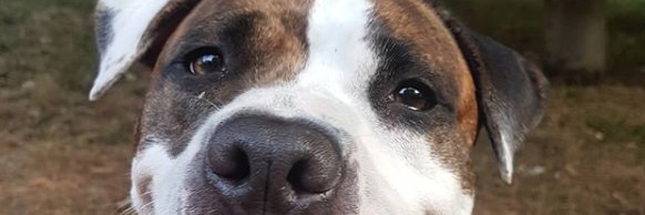 Jon Jiménez Landa banner