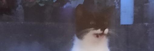 paul4ner's profile banner image