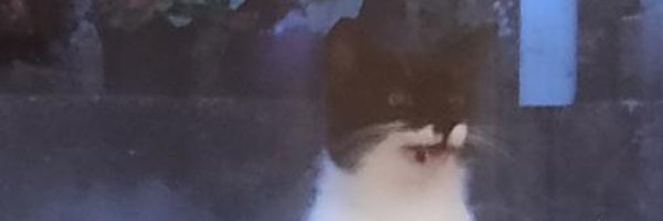 paul4ner Profile Banner