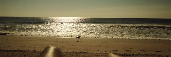 WordWanderer Profile Banner