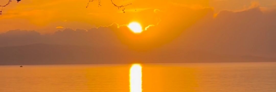 bukilina34's profile banner image