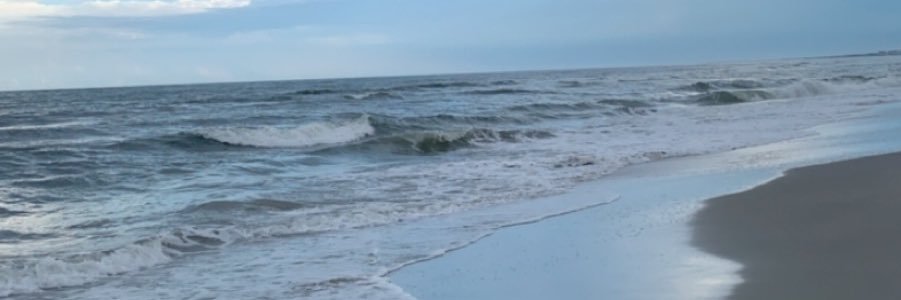 QuinnCherry__'s profile banner image