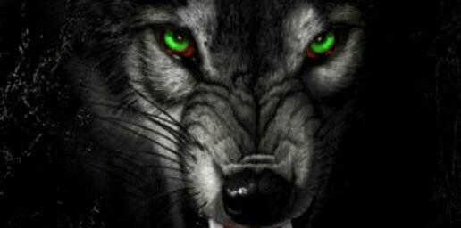 chuckchuck378's profile banner image