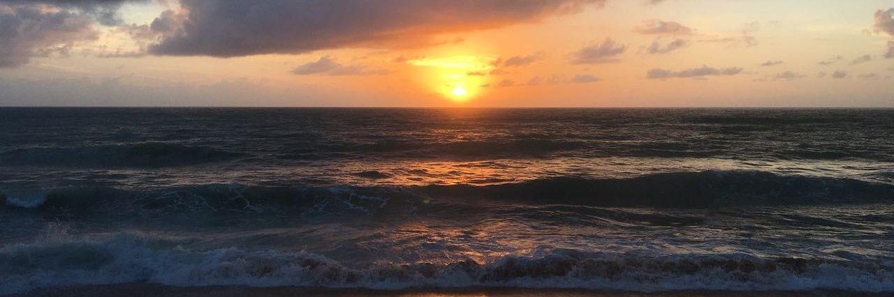 neutonjr's profile banner image