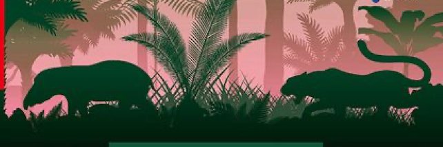 LW_1001's profile banner image