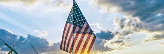 Bill B 🇺🇸 banner