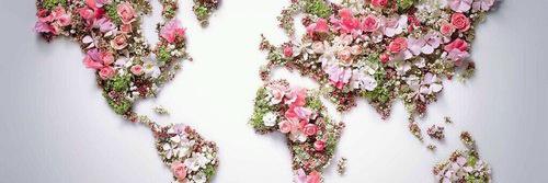 writemarywrite's profile banner image