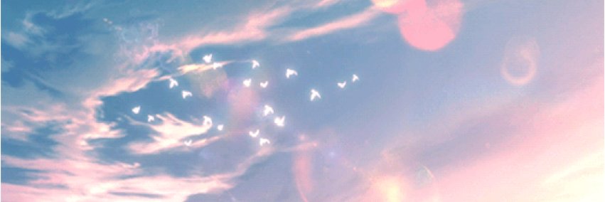 quoczx's profile banner image