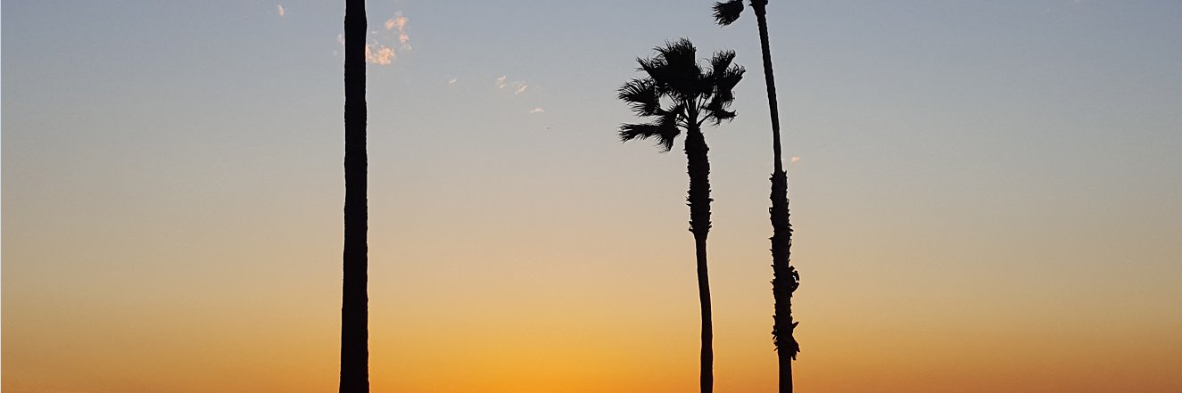 Fribsss's profile banner image