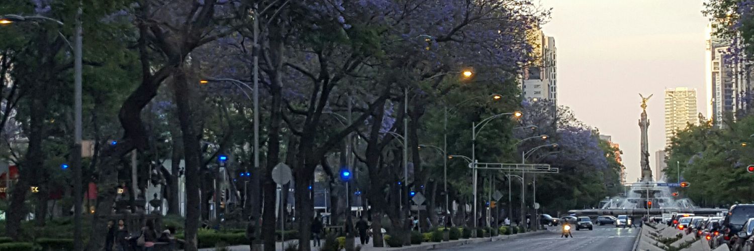 p_titetoile's profile banner image