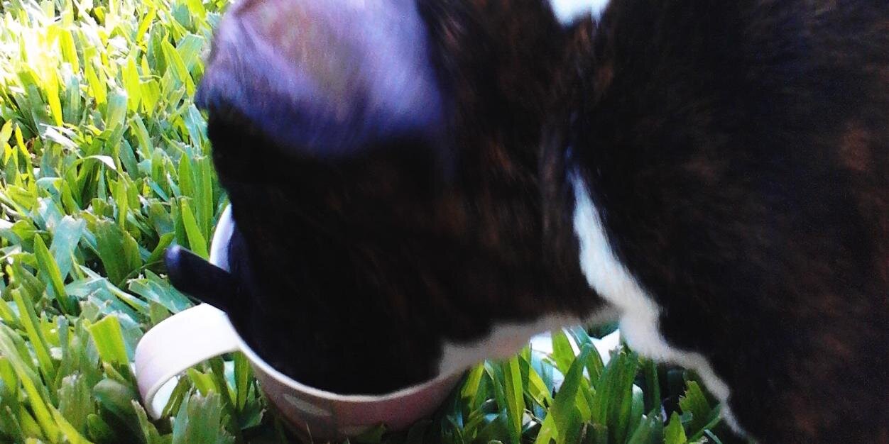 MaraLopezS's profile banner image