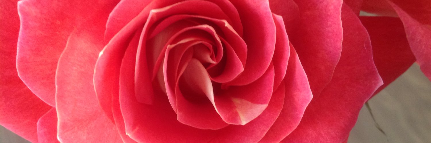 Linda Divinetz banner