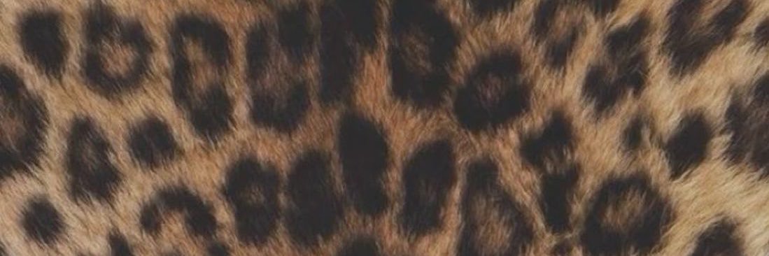 XOLikk_'s profile banner image