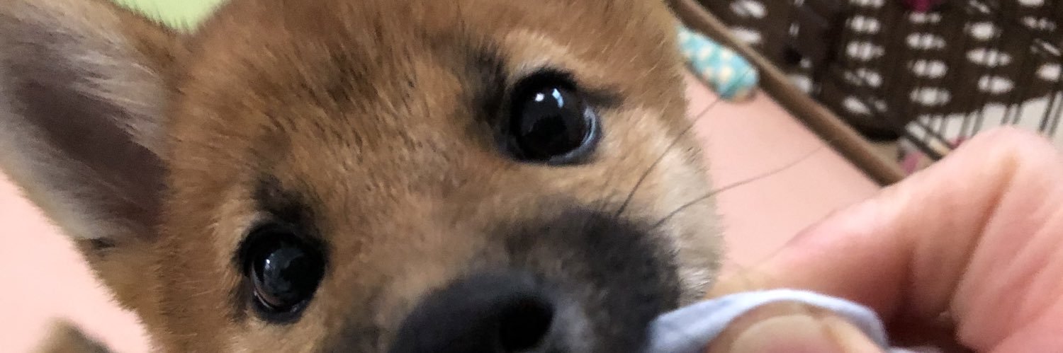 Fuka2465's profile banner image