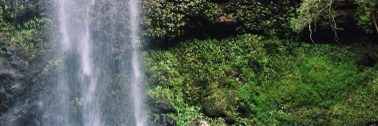 izzyylarsonn's profile banner image