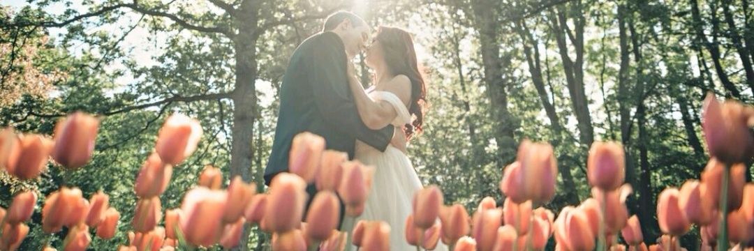 Ellicenps's profile banner image