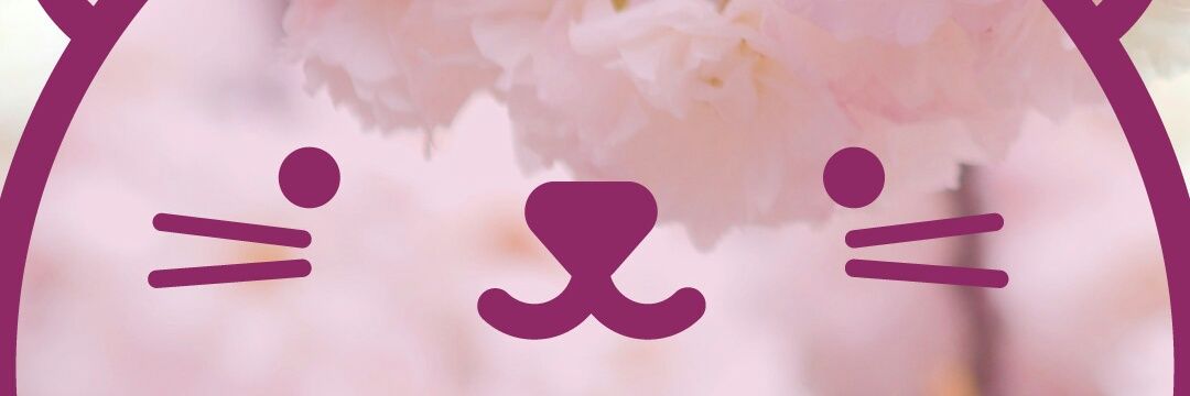 21Eliiza's profile banner image