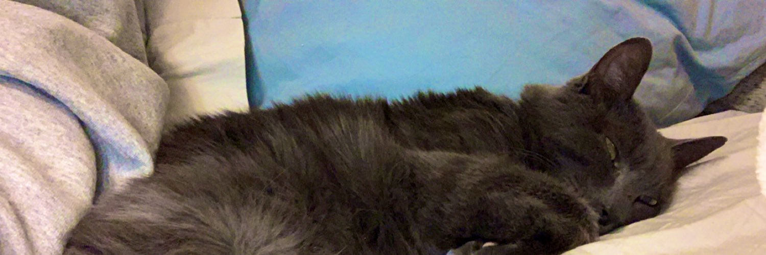 baileyzagar's profile banner image