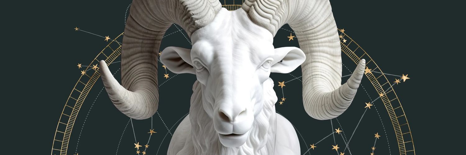 ShellMalham's profile banner image