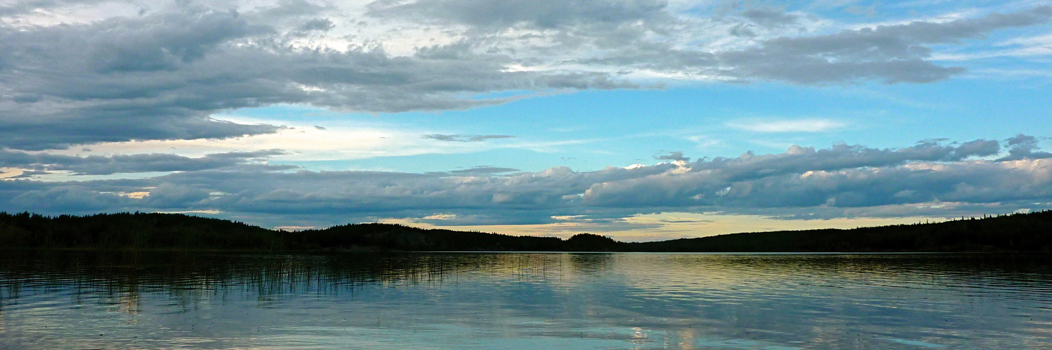 Kathryn Dompierre banner