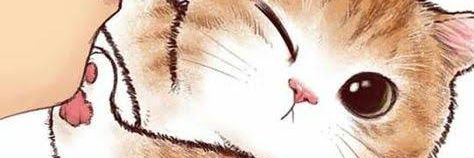 evebrionesm's profile banner image