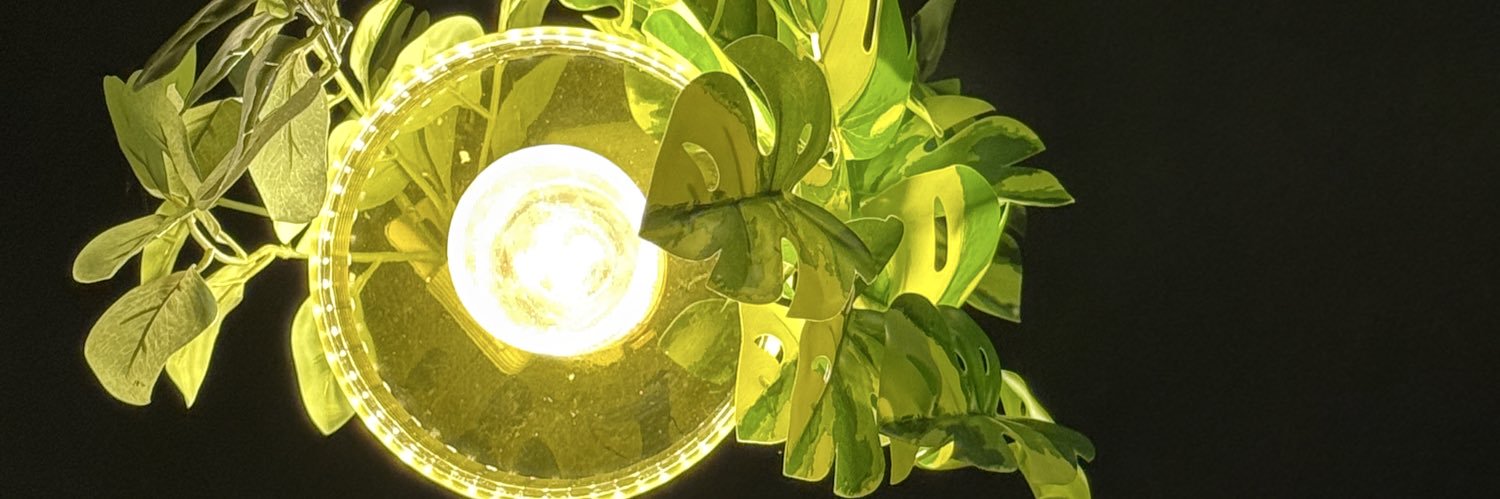 CedieDaBitch's profile banner image