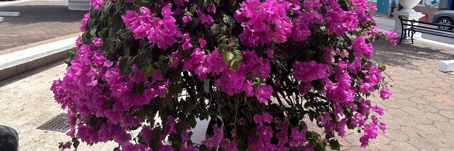 Seminaristaeric's profile banner image