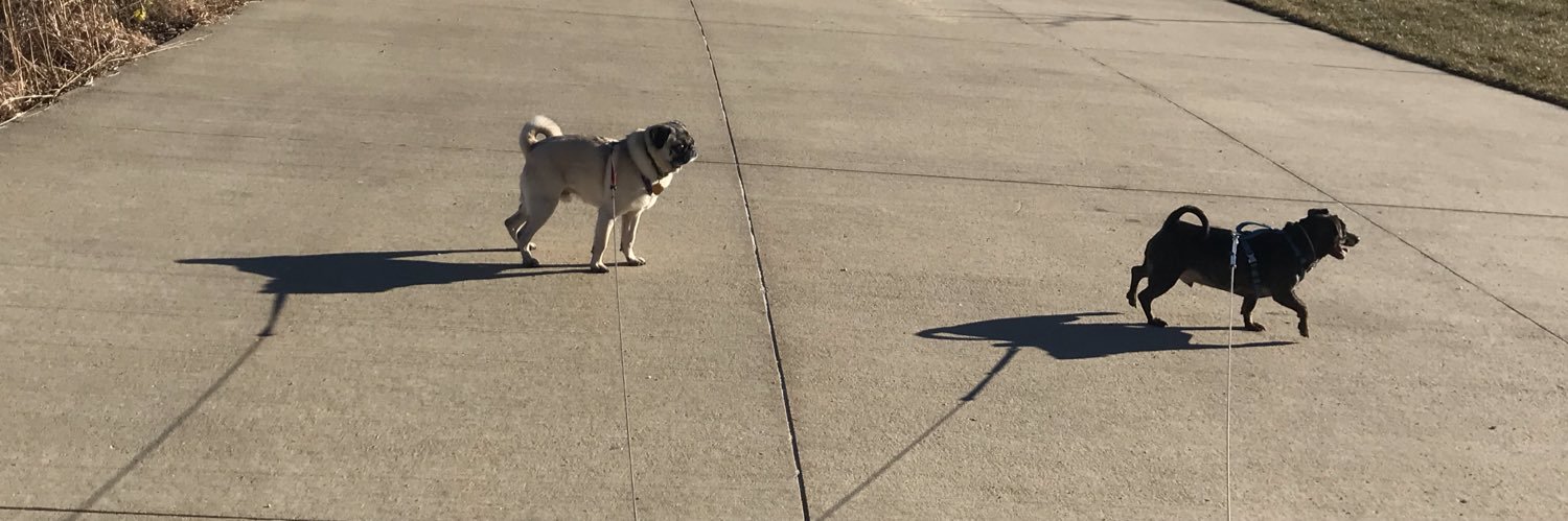 ThePugBros's profile banner image