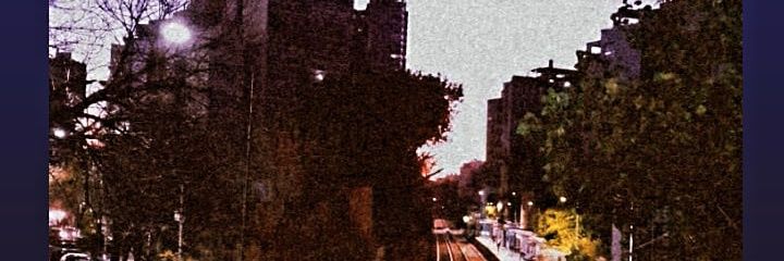 V banner