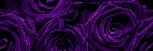 SusannXx_'s profile banner image