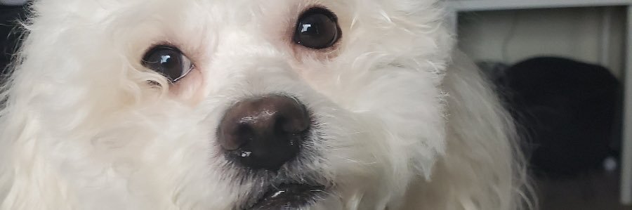 tawnya_ve's profile banner image